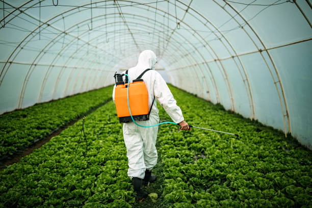 Best Pest Control Cost  in Point Lookout, NY