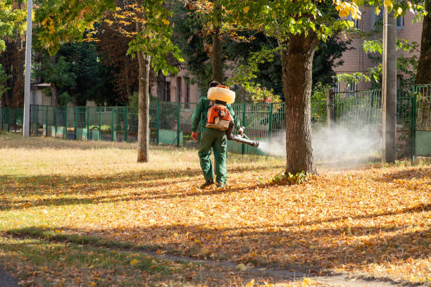 Flea Control Services in Point Lookout, NY